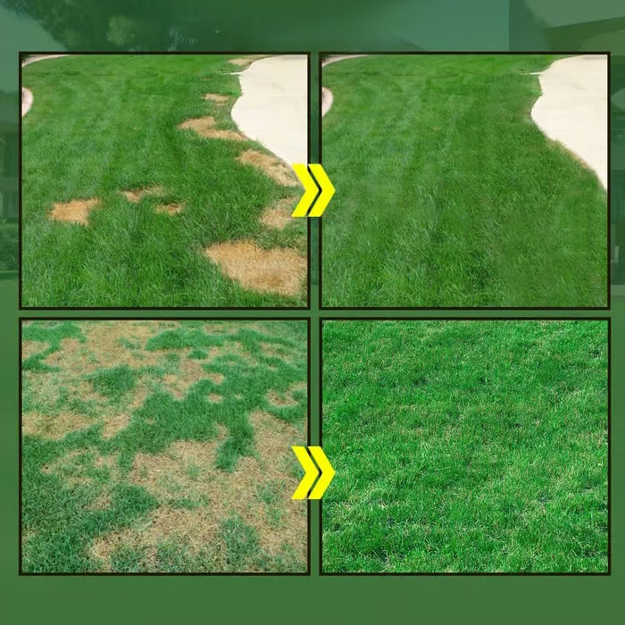 🔥Last Day 70% OFF🌱Hydro Seeding Lawn Solution-2