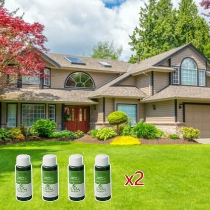 🔥Last Day 70% OFF🌱Hydro Seeding Lawn Solution-2