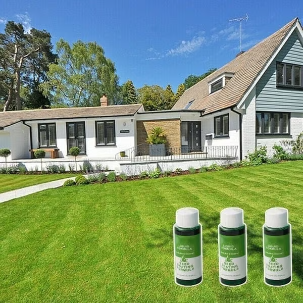 🔥Last Day 70% OFF🌱Hydro Seeding Lawn Solution-2
