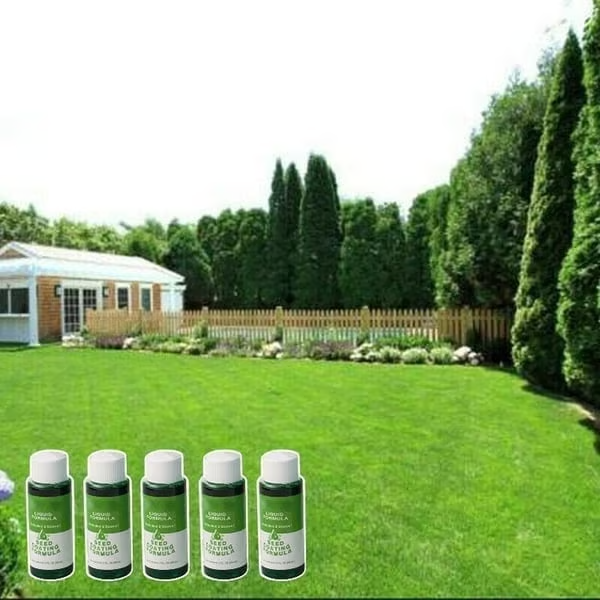 🔥Last Day 70% OFF🌱Hydro Seeding Lawn Solution-2