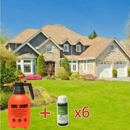 🔥Last Day 70% OFF🌱Hydro Seeding Lawn Solution-2
